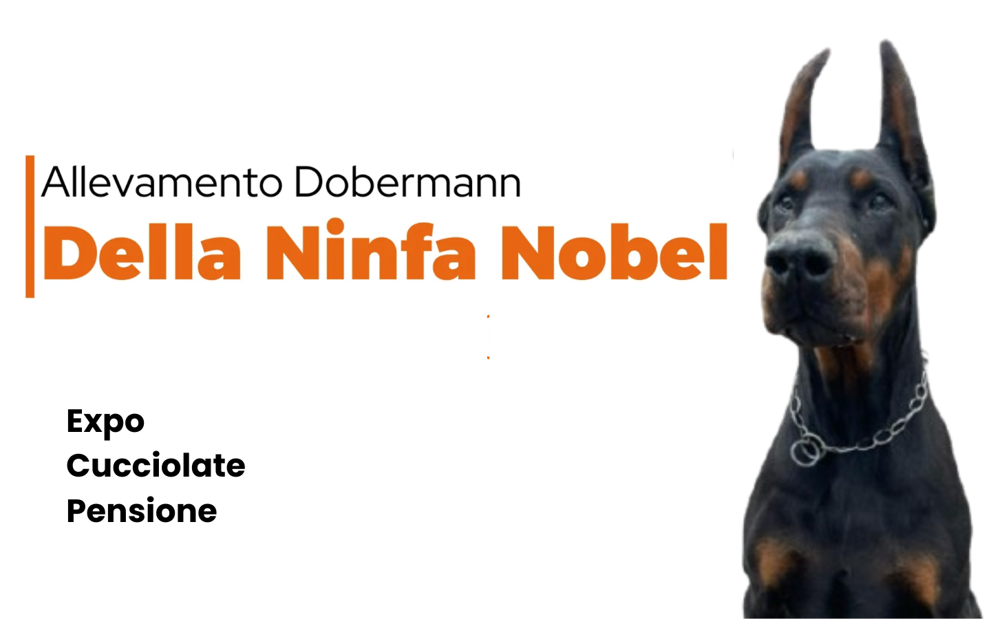 Allevamento Dobermann Della Ninfa Nobel